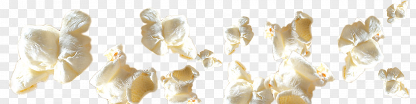 Corn Pops Lighting PNG