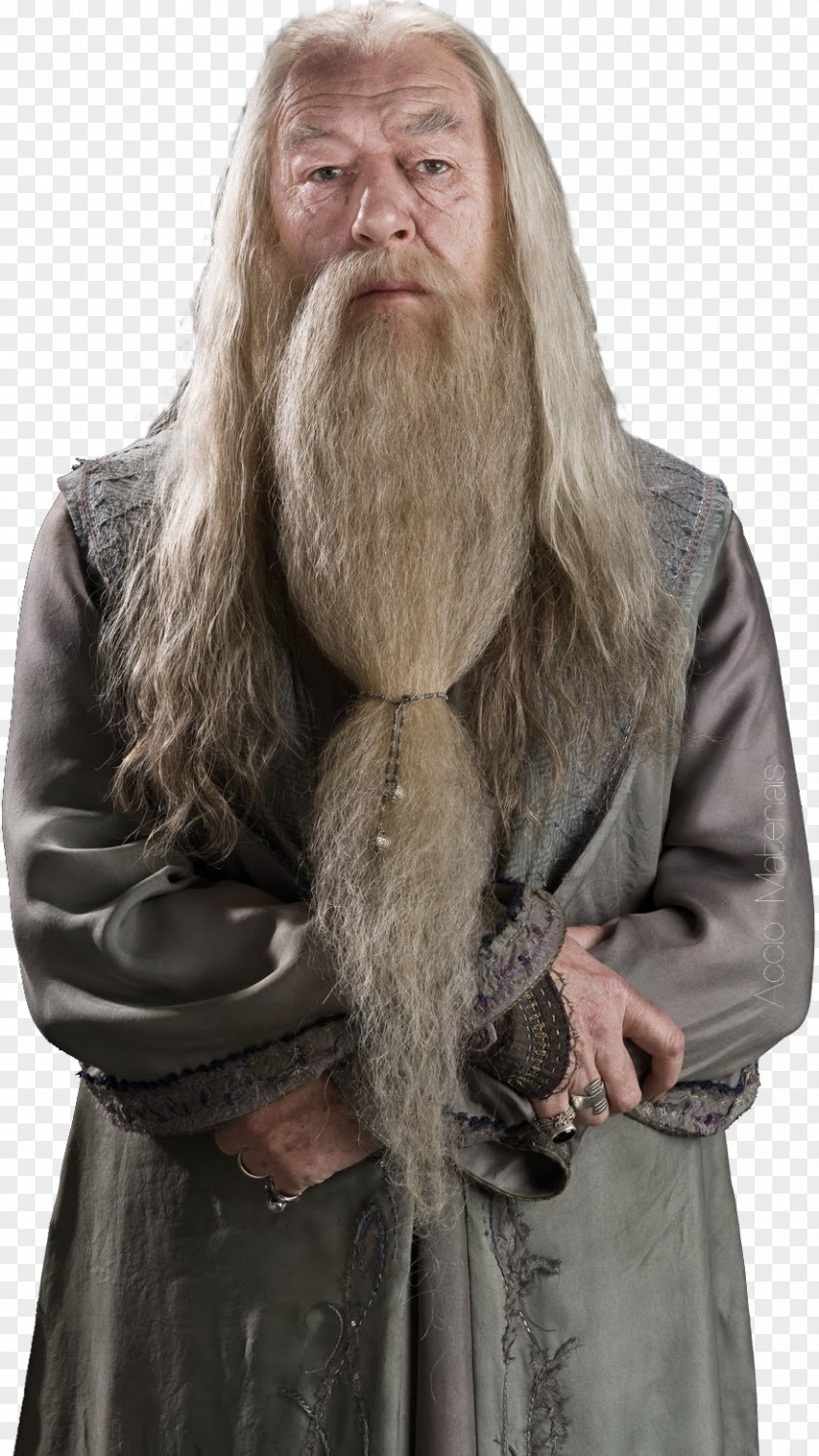 Harry Potter Richard Harris Albus Dumbledore Professor Severus Snape Fictional Universe Of Hermione Granger PNG