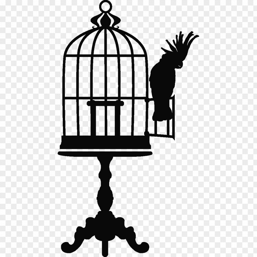 Perroquet Vector Graphics Clip Art Illustration Birdcage Image PNG