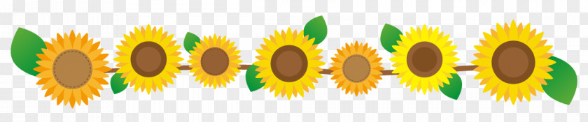 Sunflower Flower Line. PNG