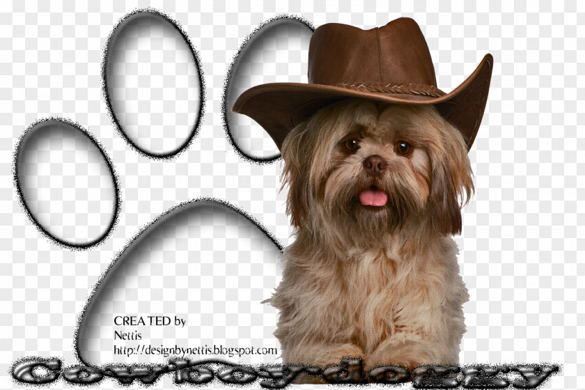 Cowboy Shih Tzu Puppy Dog Breed Toy Terrier PNG