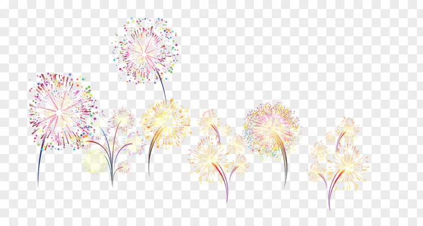 Fireworks Floral Design Cut Flowers Pattern PNG