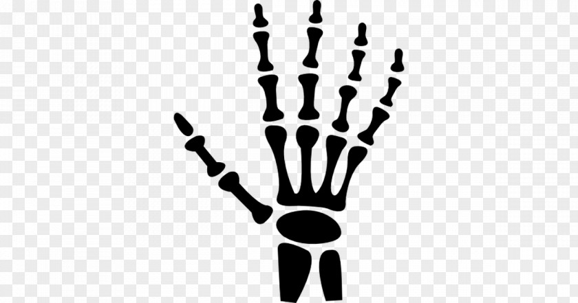 Hand Human Skeleton Carpal Bones Body PNG