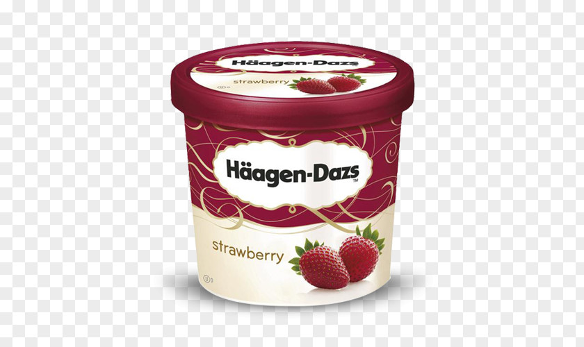 Ice Cream Häagen-Dazs Caramel Chocolate PNG