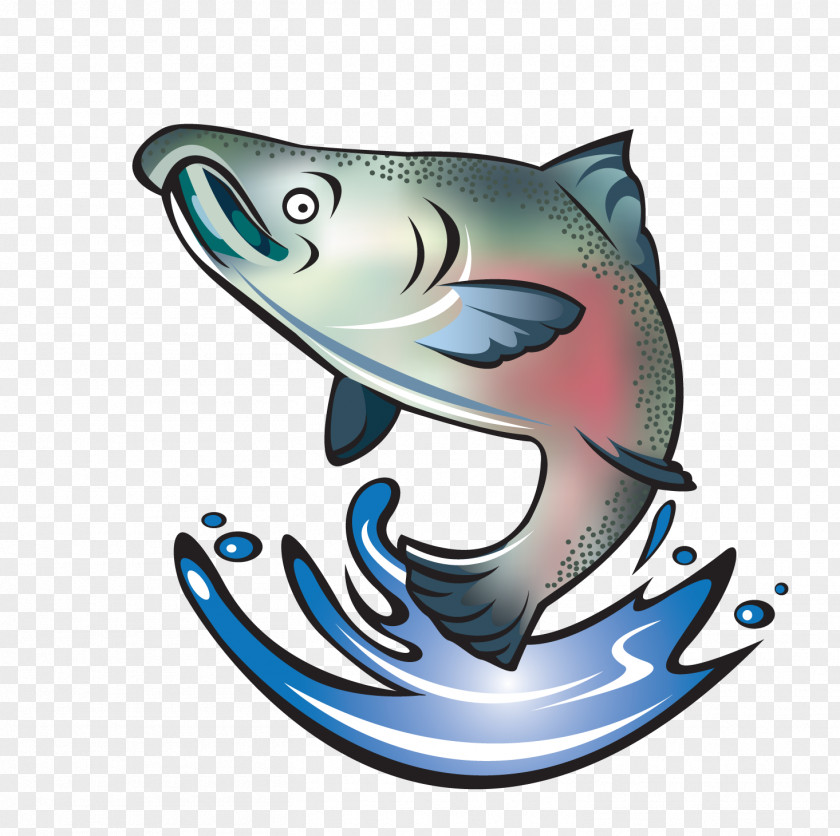 SALMON Coho Salmon Chinook Sockeye Fish PNG