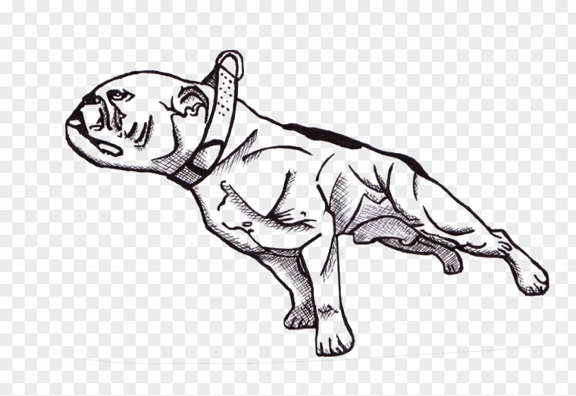 Staffordshire Bull Terrier Dog Breed Non-sporting Group Horse Snout PNG