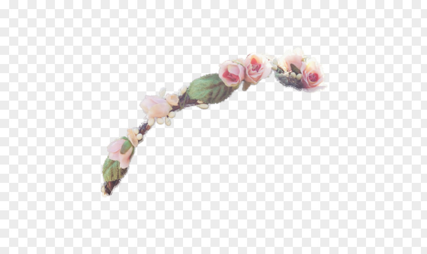 Transparent Flower Crowns Picture Crown Wreath PNG