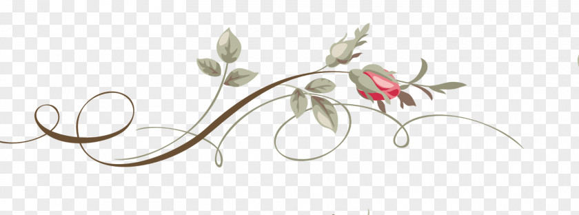 Arabesco Flower Floral Design Drawing Clip Art PNG