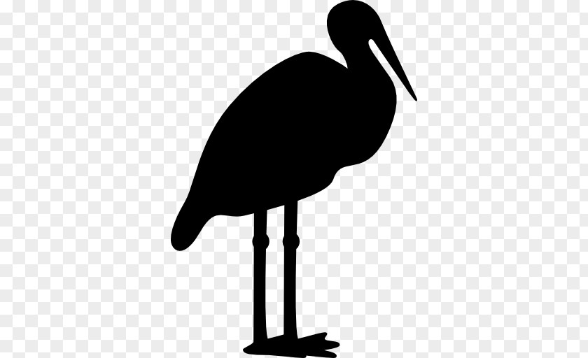 Bird White Stork Crane Beak Silhouette PNG