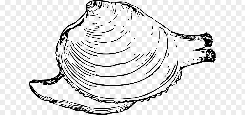 Cartoon Snail Clip Art Vector Graphics Molluscs Image Openclipart PNG
