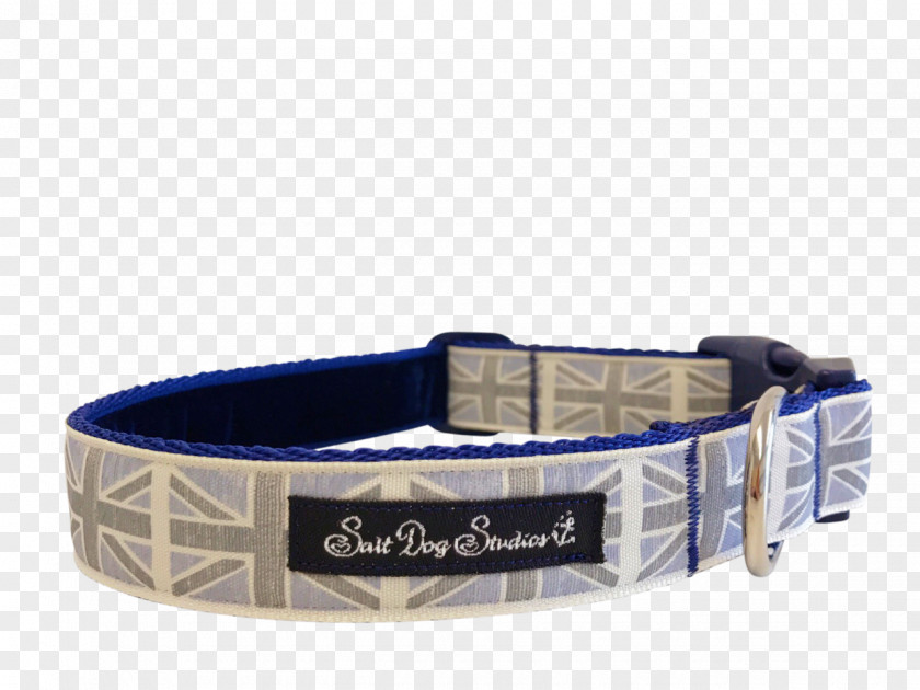 Dog Collar Leash Webbing PNG