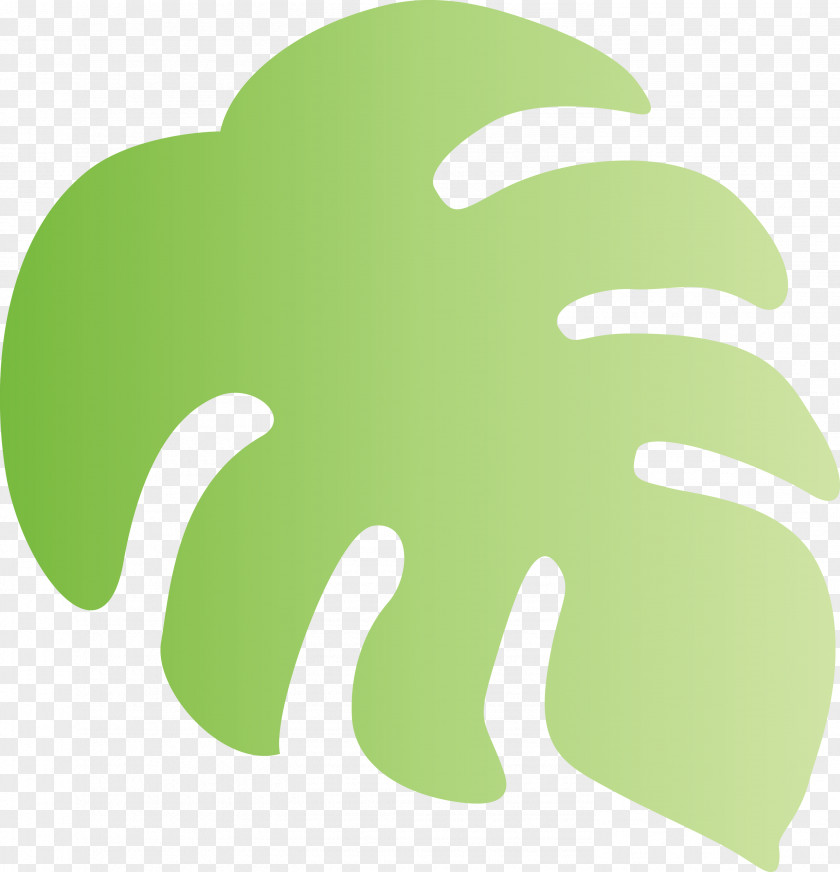 Monstera Tropical Leaf PNG