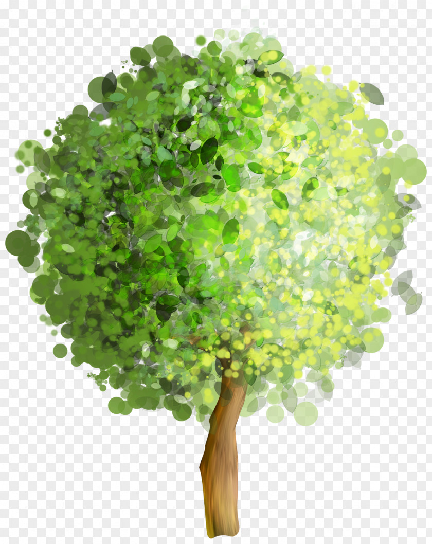Tree Watercolor Painting Clip Art PNG