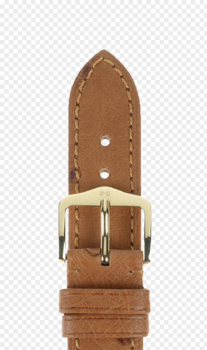 Watch Strap Buckle PNG