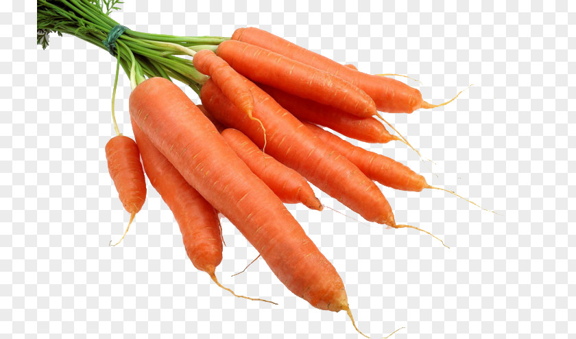 Bunch Of Carrots Carrot Radish Gratis PNG