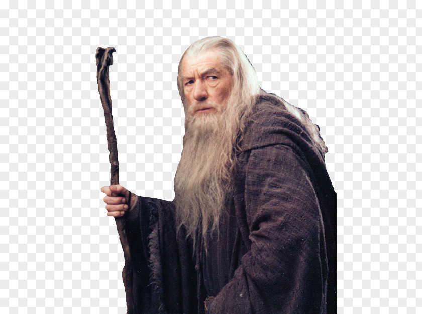 Gandalf Transparent The Lord Of Rings: Fellowship Ring Legolas PNG