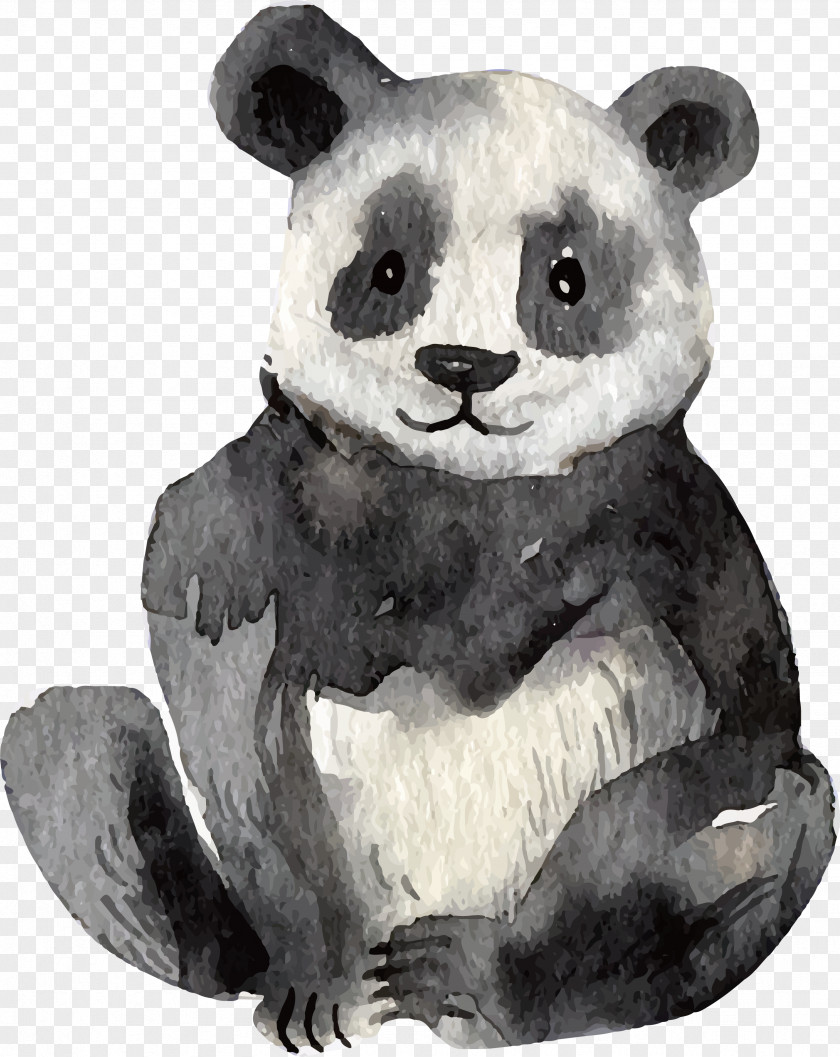 Giant Panda Koala Lemuridae Euclidean Vector Watercolor Painting PNG
