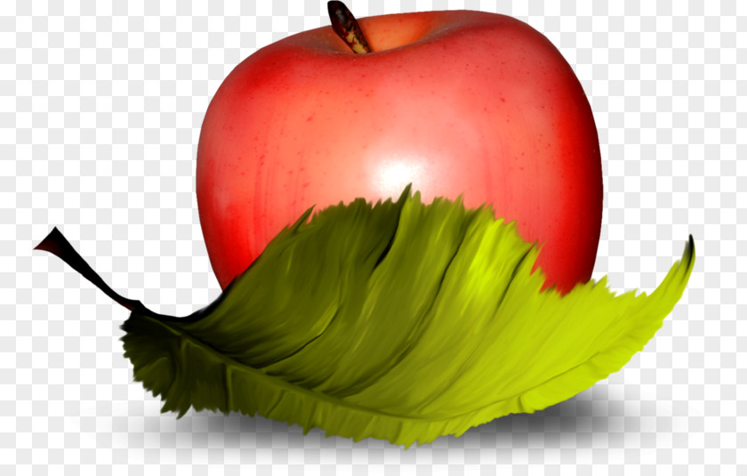 Hand-painted Red Apple Fruit Vegetable Clip Art PNG
