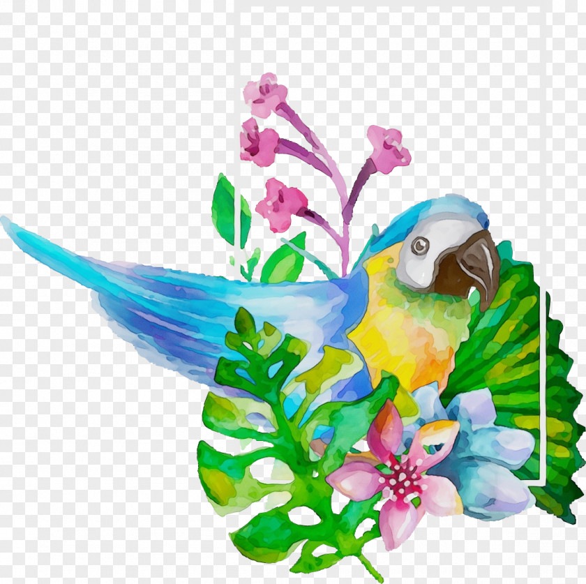 Hummingbird Plant PNG