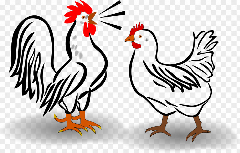 Rooster Leghorn Chicken Houdan Cochin Croad Langshan PNG
