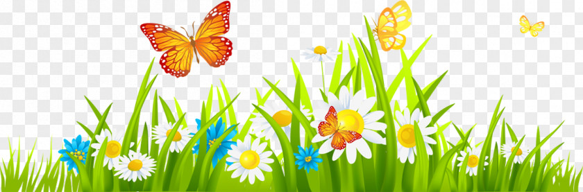 Butterfly Flower Clip Art PNG