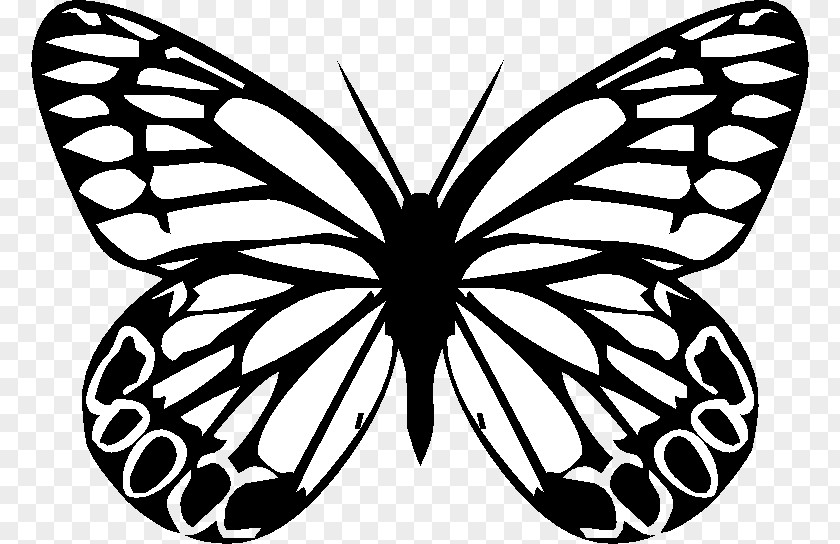 Butterfly Monarch Insect Silhouette Drawing PNG