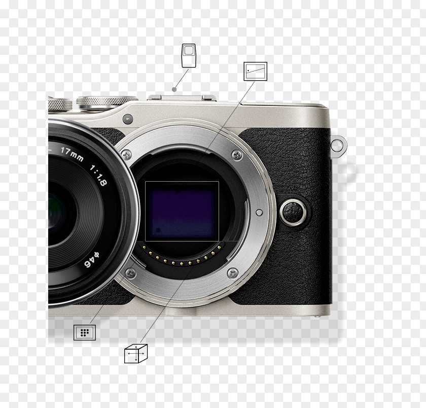 Camera Olympus PEN E-PL9 Mirrorless Interchangeable-lens Corporation System PNG