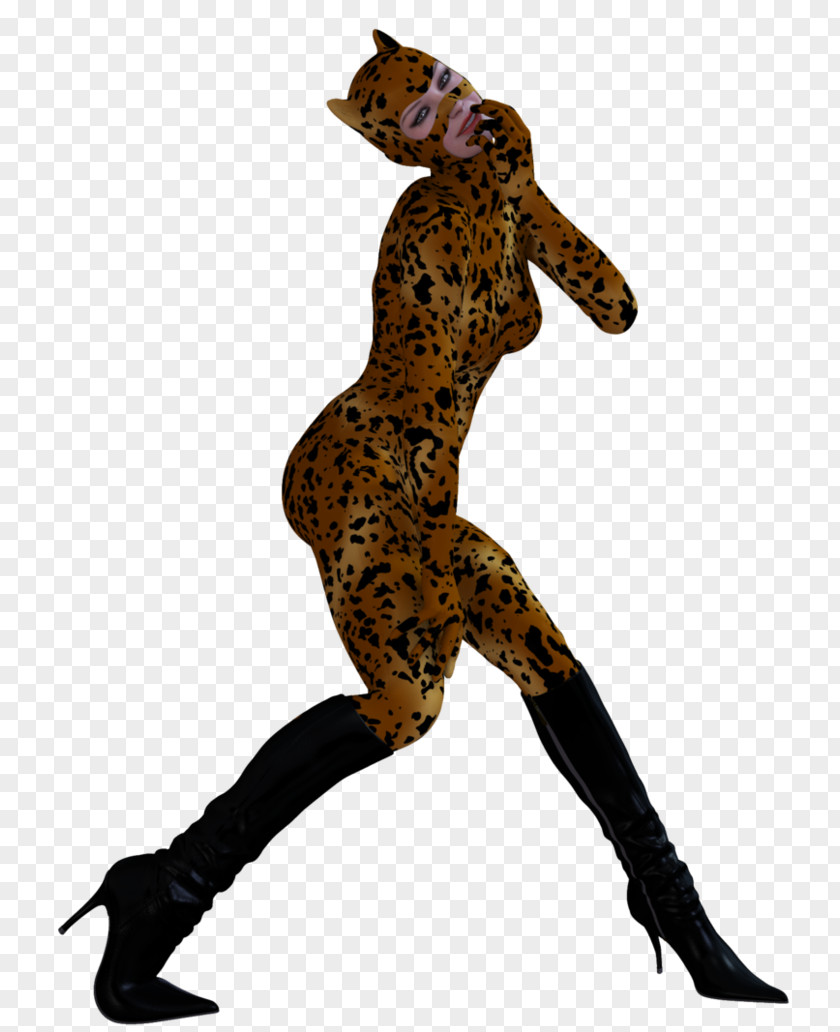 Costume Design Tail PNG
