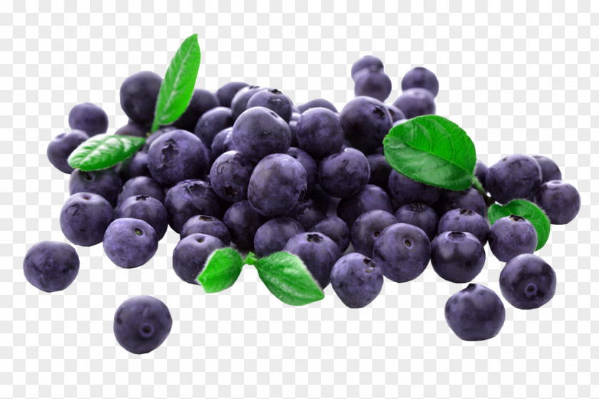 Free Fresh Blueberries Pull Physical Map Muffin Blueberry Frutti Di Bosco Flavor Balsamic Vinegar PNG