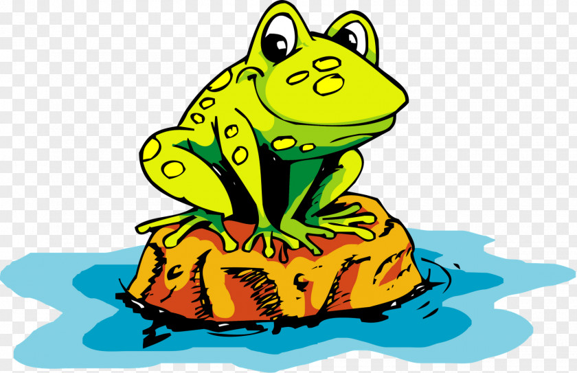 Frog Toad Cartoon PNG