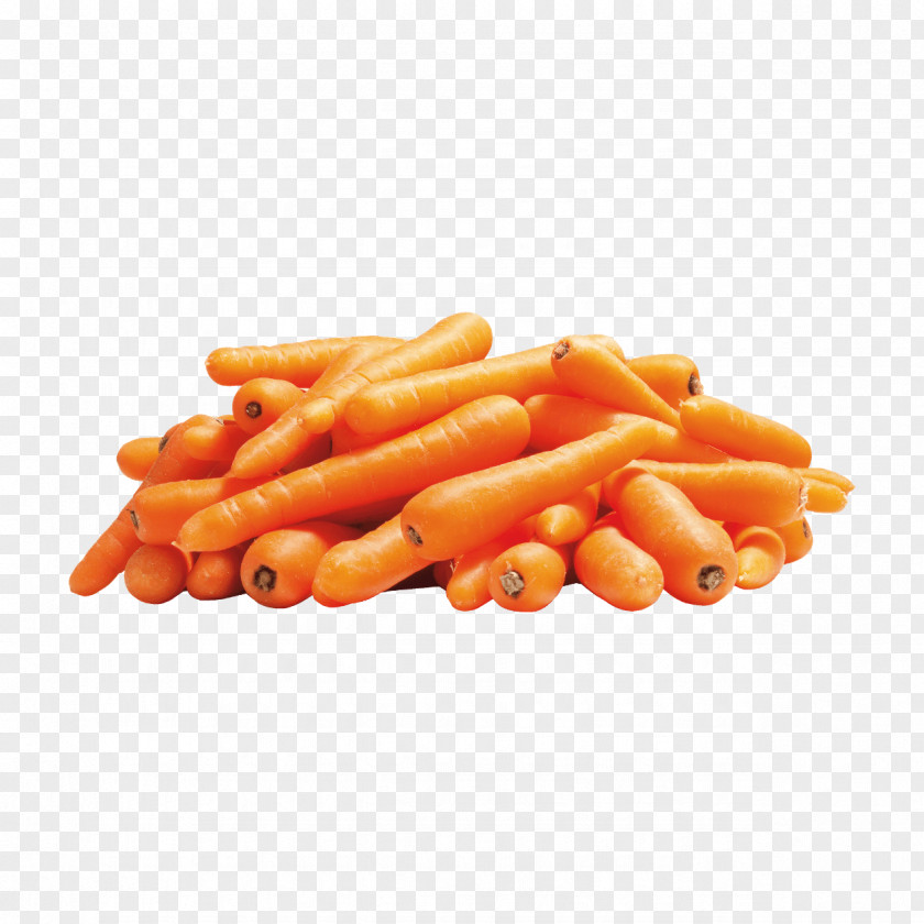 Fruit Vegetable Loonbedrijf Van Raak B.V. Baby Carrot Sowing PNG