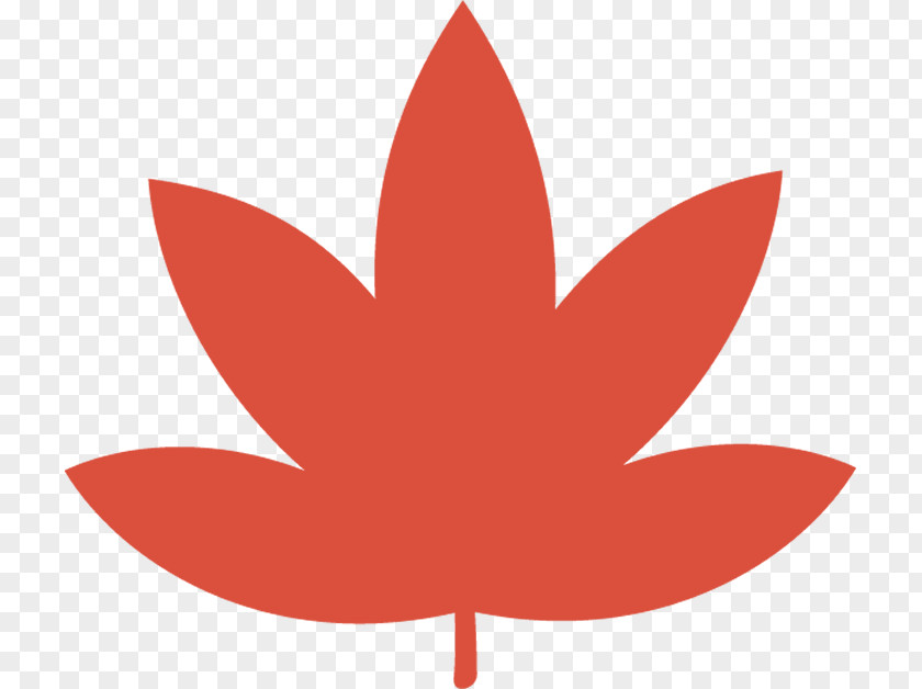 Logo Woody Plant Maple Leaf PNG