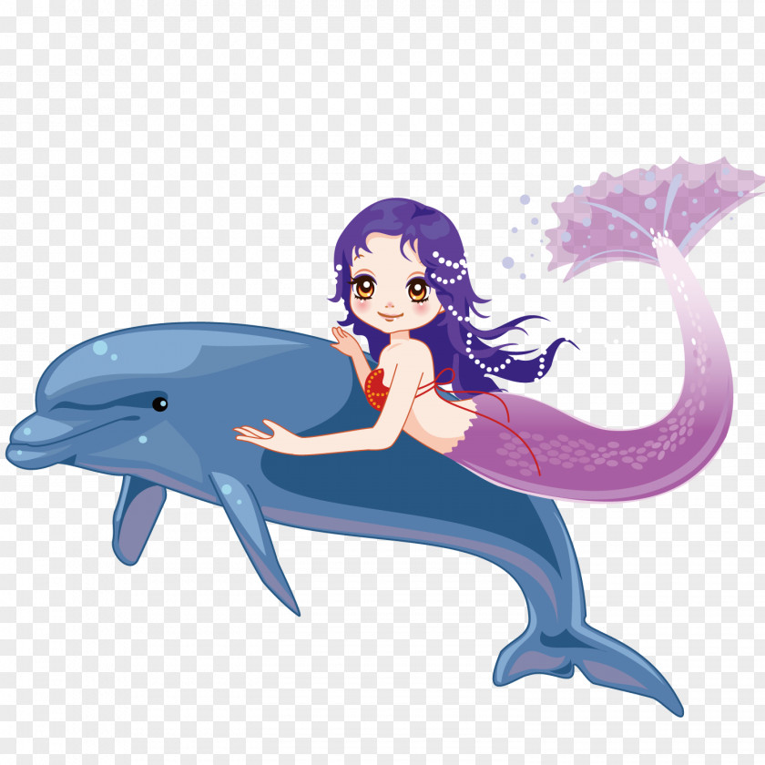 Mermaid And Dolphin The Little PNG