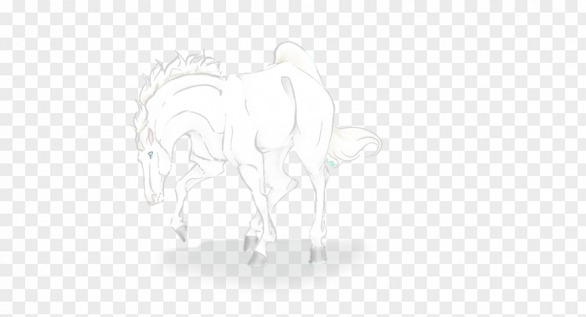 Whitehorse Horse Pony DeviantArt Black And White PNG
