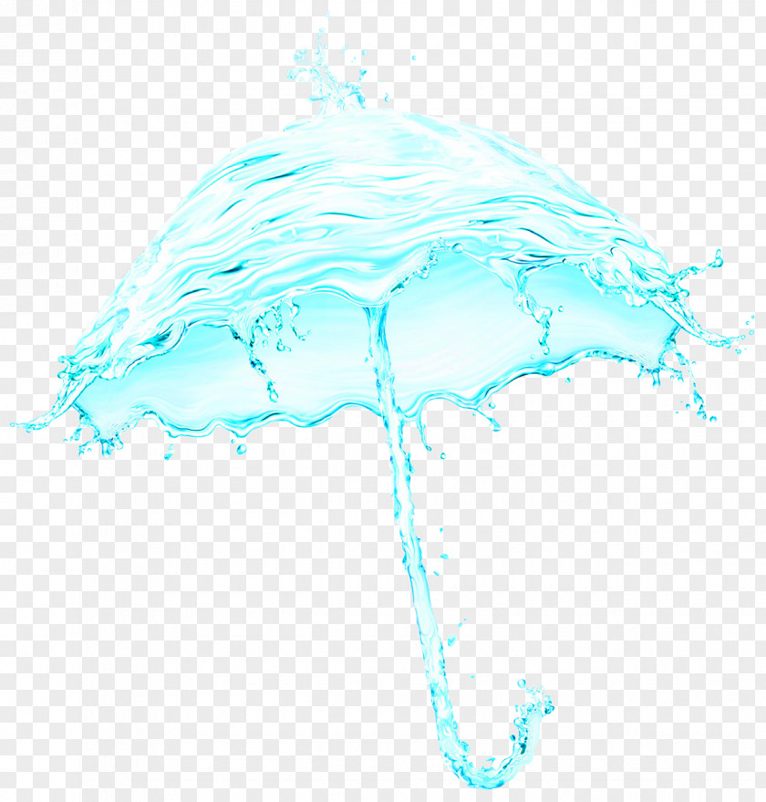 Blue Fresh Water Flower Umbrella Decorative Patterns Icon PNG