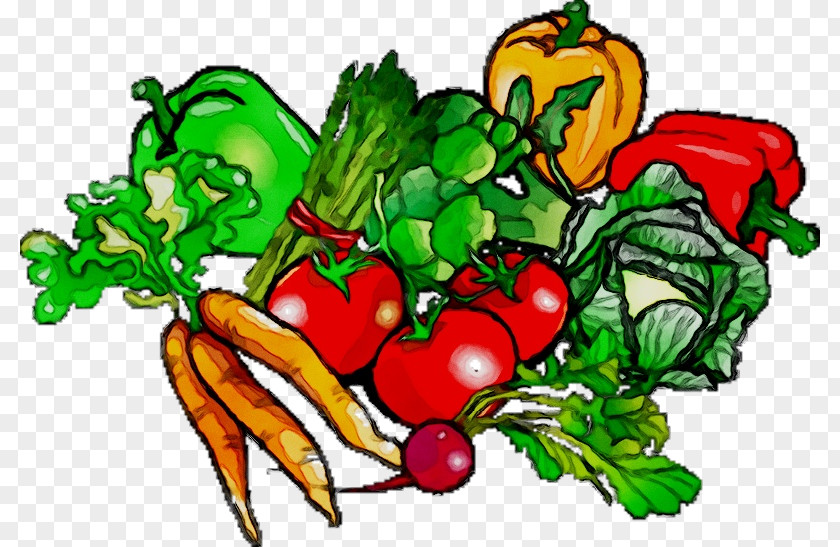 Clip Art Vegetable Food Vegetarian Cuisine PNG