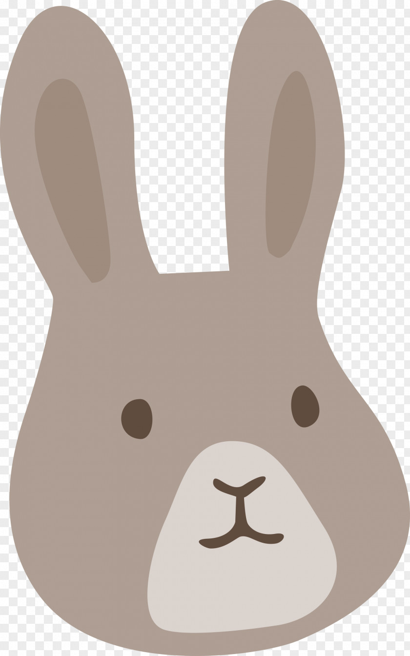 Easter Bunny PNG