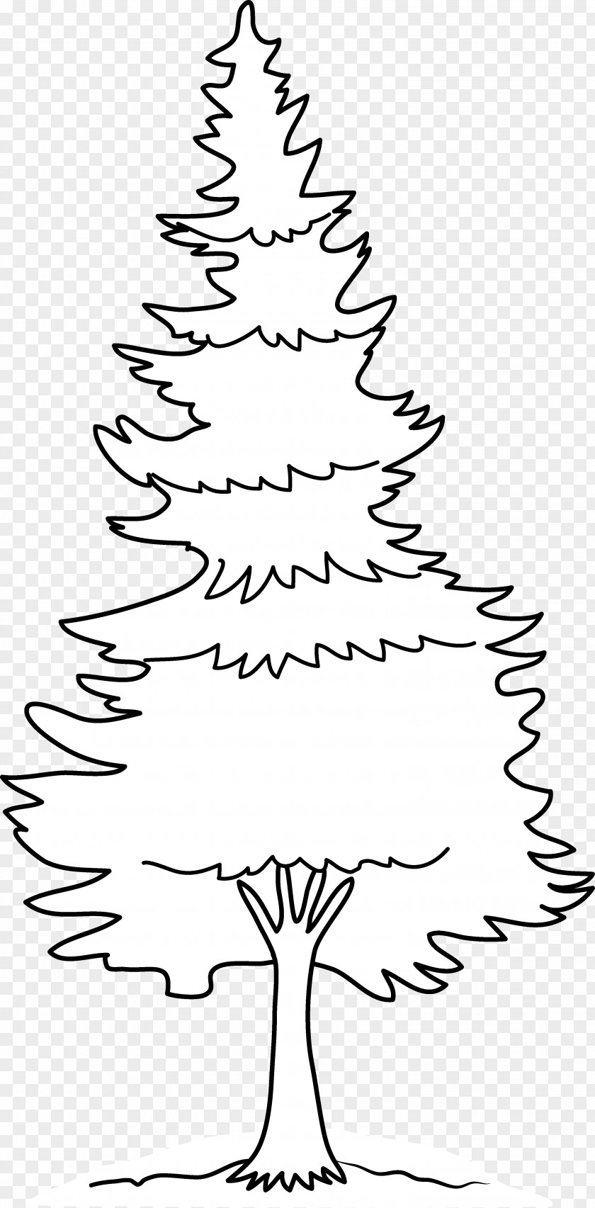Fir-tree Eastern White Pine Drawing Clip Art PNG