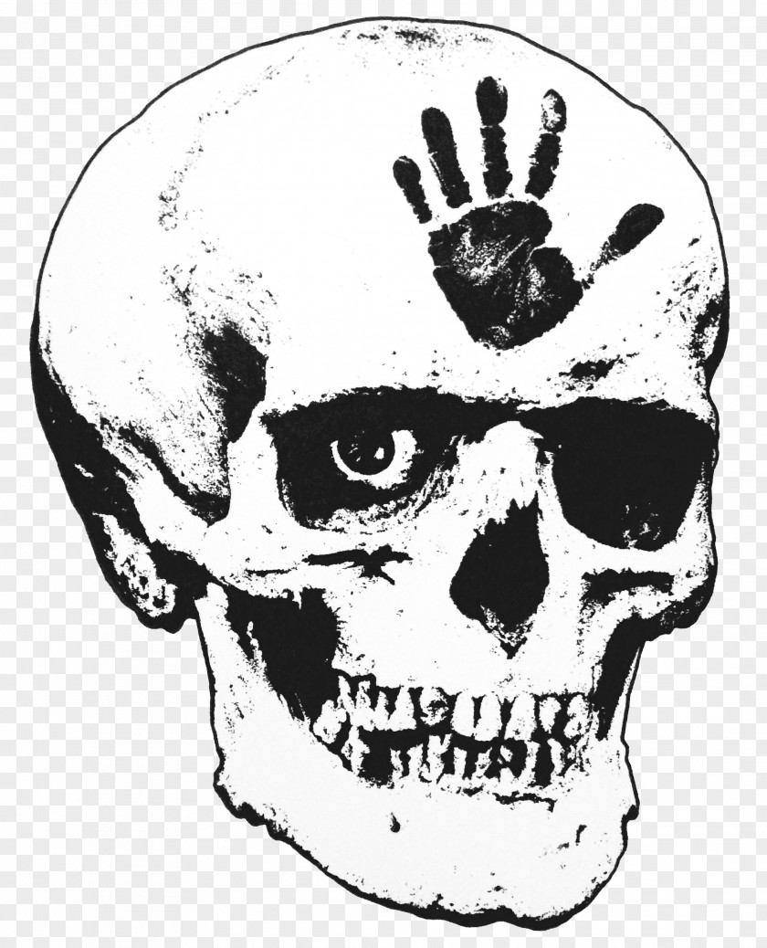 Forehead Head Skull Drawing PNG