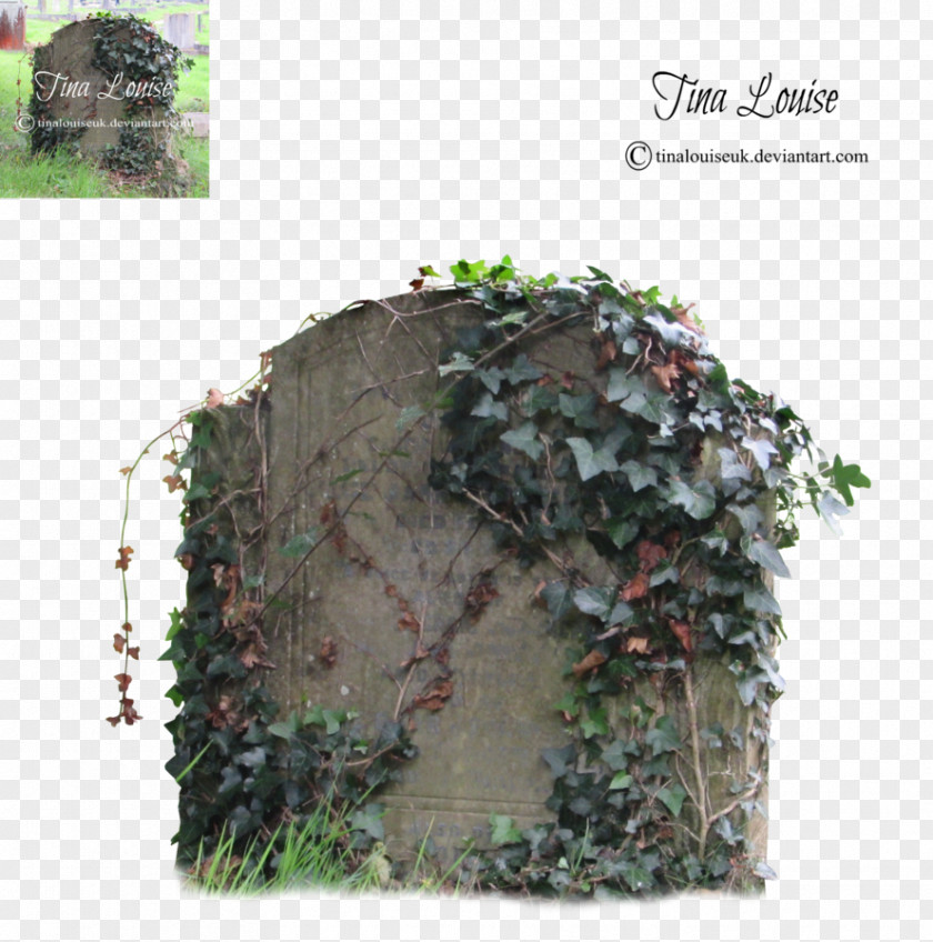 Grave Military Camouflage PNG
