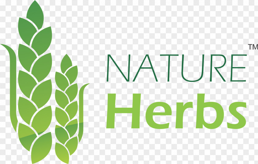 Leaf Nature Herbs Seed Food PNG
