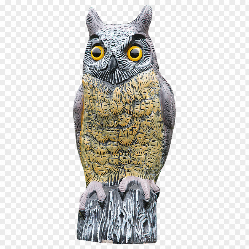 Owl Beak PNG