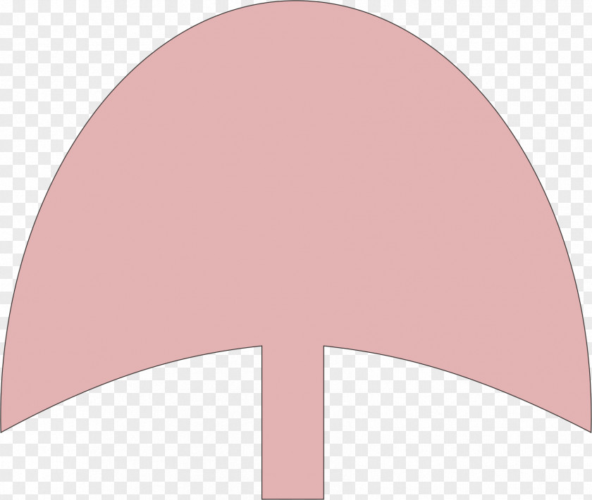 Pink Umbrella Icon PNG