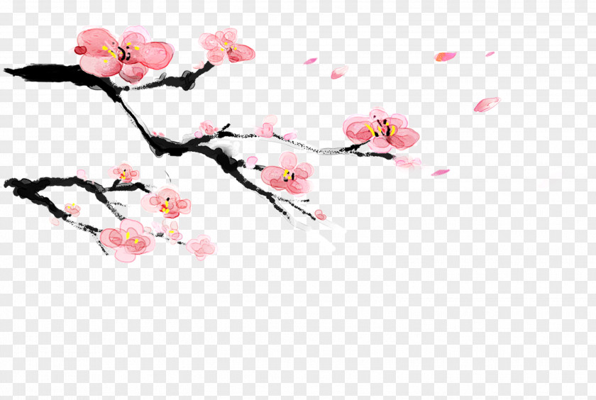 Plum Flower Red Blossom Pink PNG