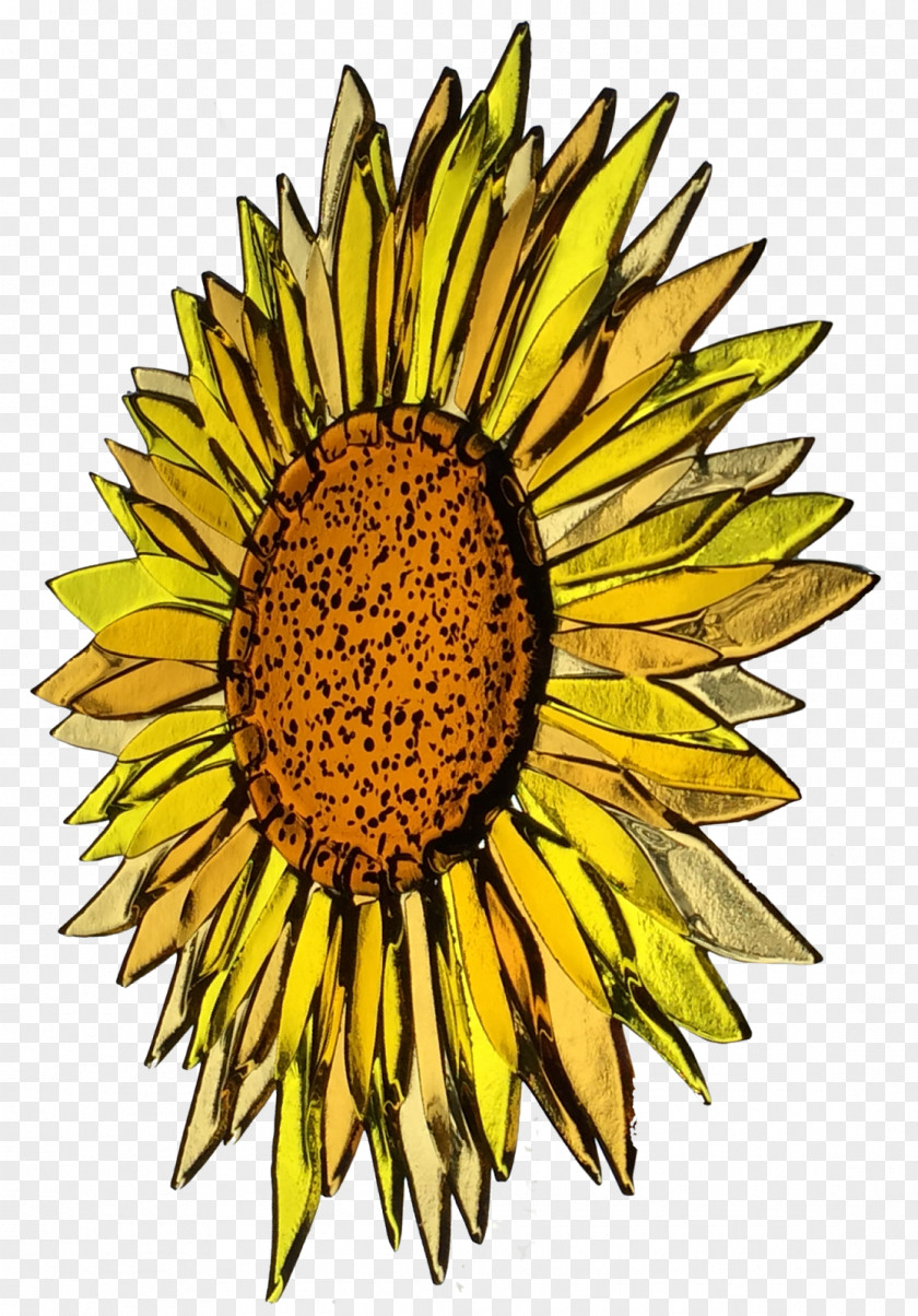 Summer Pattern Fused Glass Common Sunflower Fusing Art Slumping PNG
