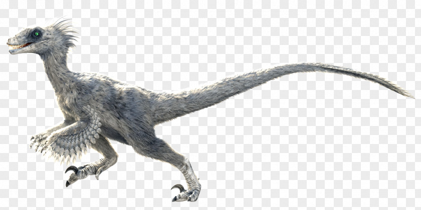 Bearded Dragon Primal Carnage Velociraptor Feather Dinosaur Diablo III PNG
