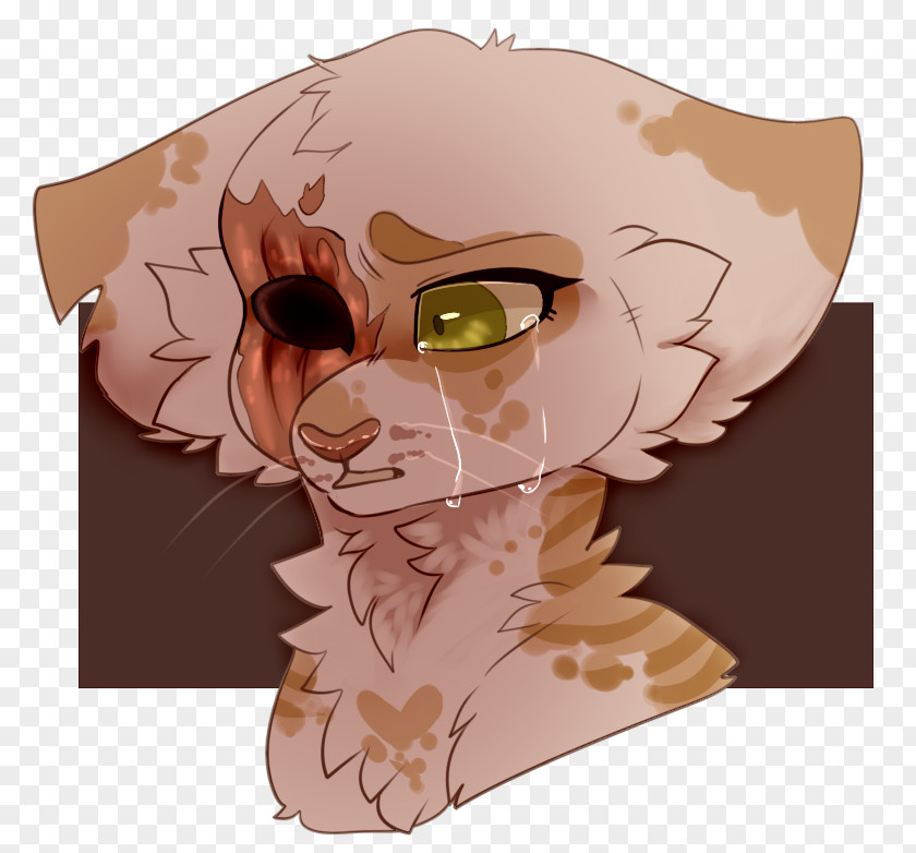 Brightheart Warrior Cat Drawings Lion Super Edition Series PNG