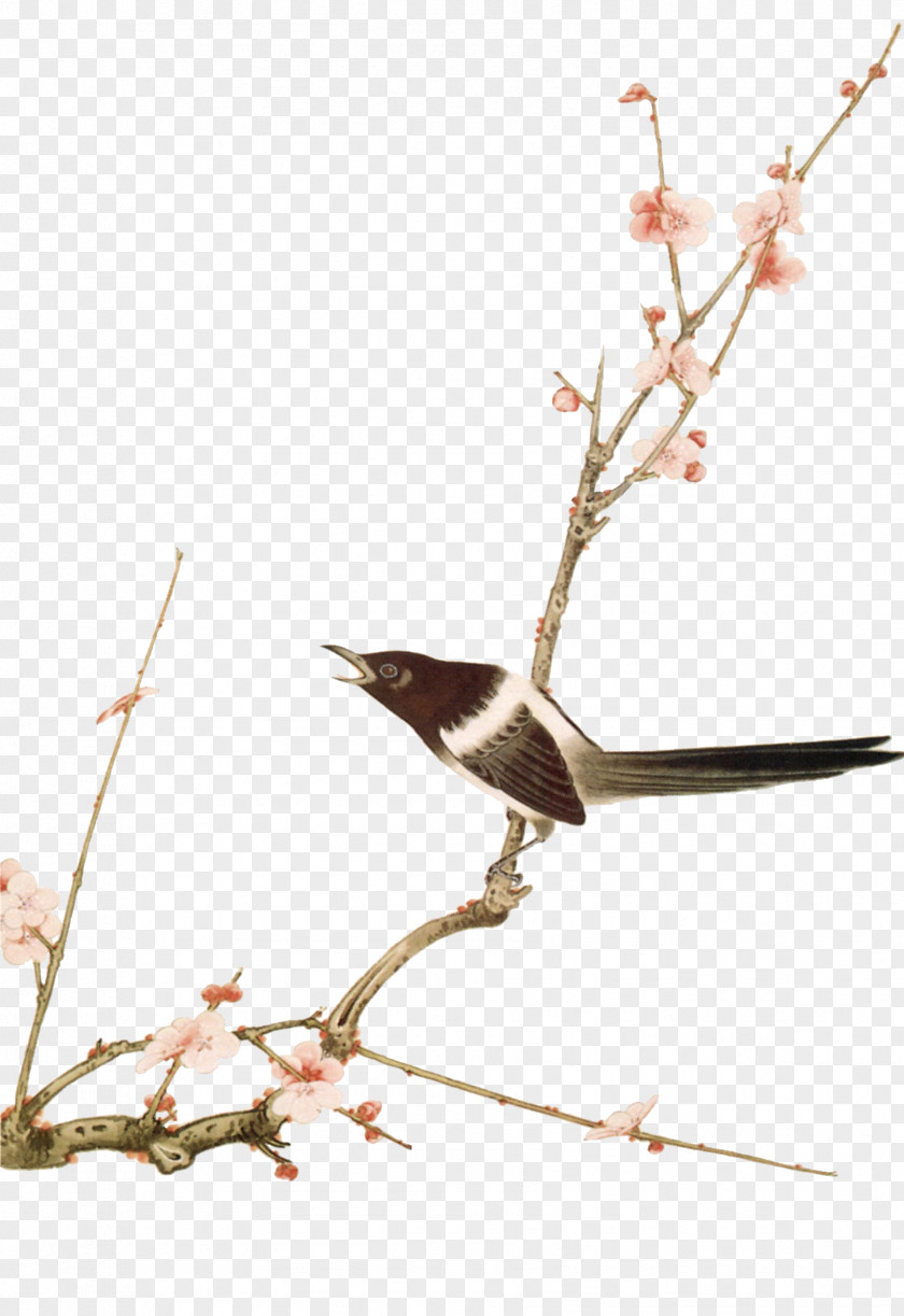 Peach And Bird Painting Bird-and-flower Gongbi PNG