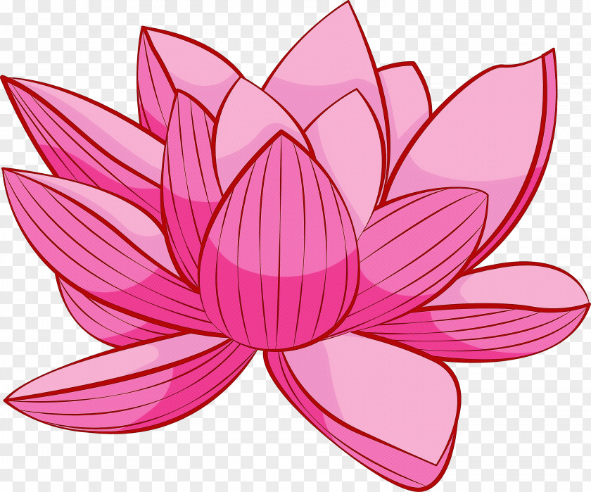 Bodhi Lotus PNG