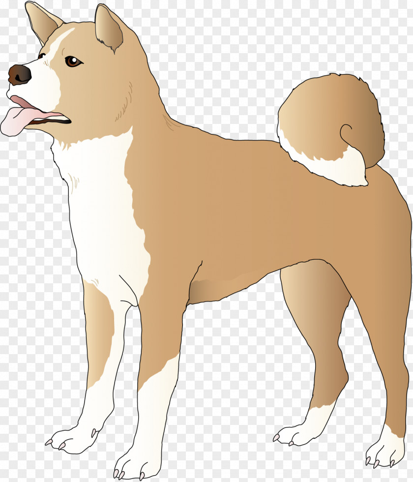 Cat Ancient Dog Breeds Non-sporting Group American Staffordshire Terrier Shiba Inu PNG